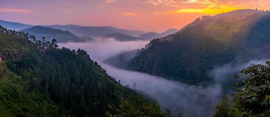 Bwindi Impenetrable Forest National Park, Uganda Bwindi Impenetrable Forest National Park, Uganda