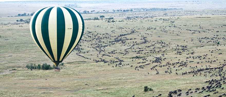 Hot air balloon over Masai Mara, Kenya