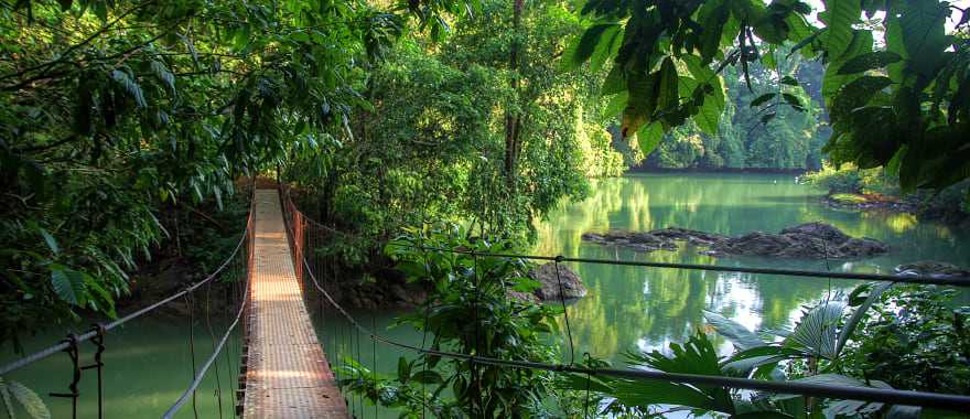 Hanging bridge in the Costa Rican rainforest