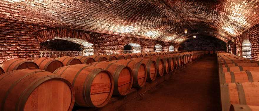 Barrels with aged wine in the cellar of a wine farm, Chile