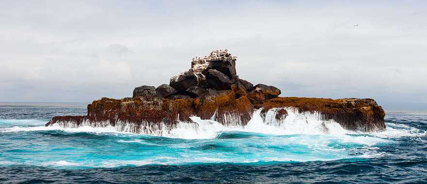 Isabela Island in the Galapagos, Ecuador