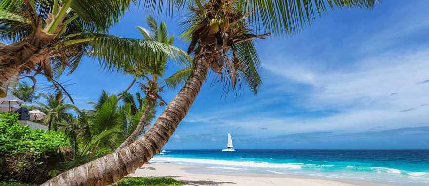 Indulge in lavish resort living on a private beach surrounded by pristine ocean and marvelous white sand Indulge in lavish resort living on a private beach surrounded by pristine ocean and marvelous white sand