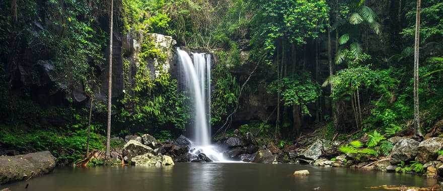 Curtis Falls, a waterfall in Tamborine National Park on Mount Tamborine in the Gold Coast, Australia