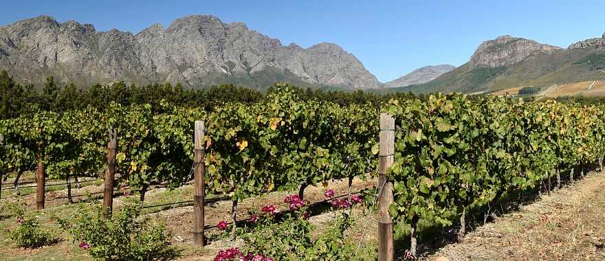 Franschhoek winelands in Western Cape, South Africa