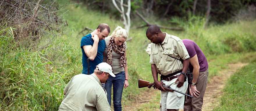 Photo courtesy South Africa Sat Ultimate 8-Day Luxury Botswana Safari