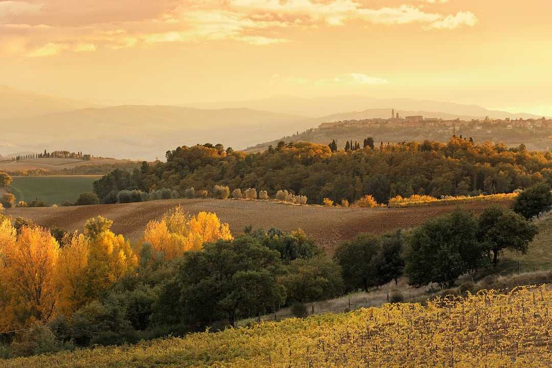 Val d'Orcia with Pienza in the distance during the end of the autumn season in Italy