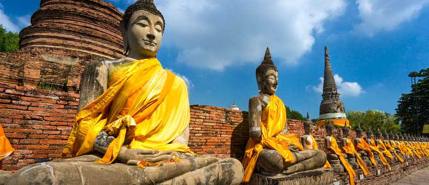 Buddha statues in Ayutthaya ruins in Thailand. 