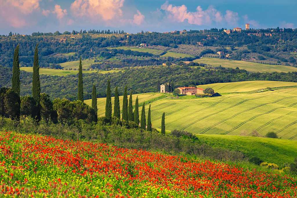 Summer Tuscany scenery with red poppy flowers and grain fields surrounding cute Vitaleta chapel and Pienza on the hill in Italy