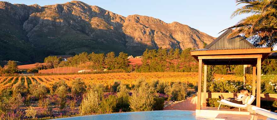 Cape Winelands in South Africa