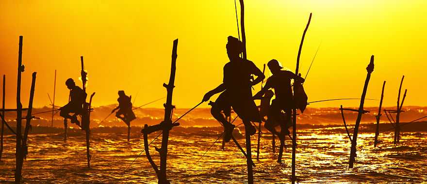 Silhouettes of the traditional fishermen at the sunset near Galle in Sri Lanka