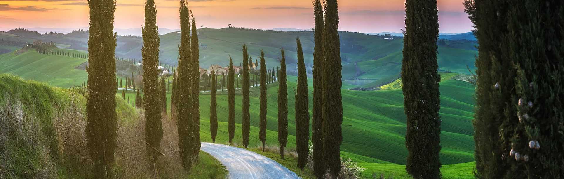 Cypress tree lined, winding road through the hills of Tuscany, Italy.