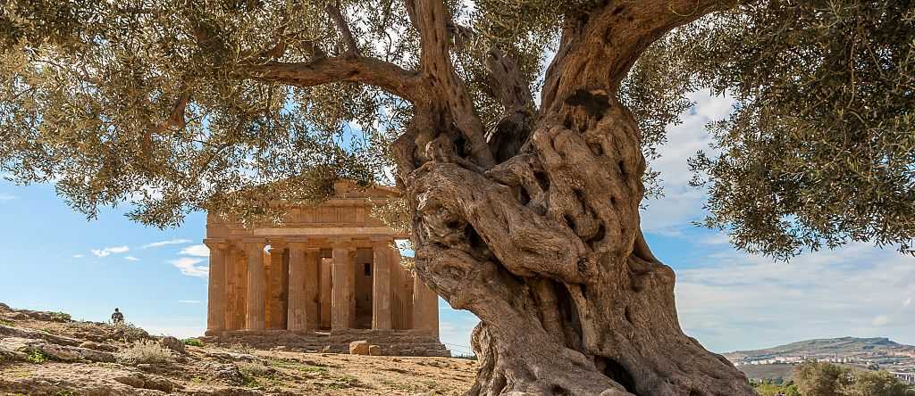 Agrigento in Sicily, Italy