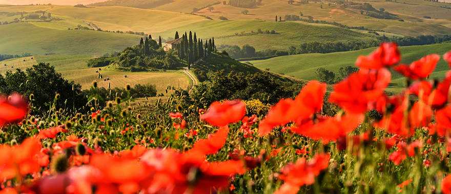 The magnificent landscape of the Val d'Orcia, located among the Tuscan hills, Italy