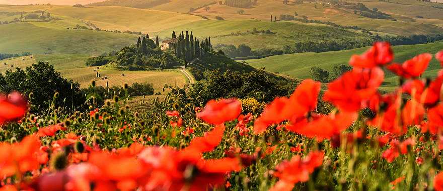 The magnificent landscape of the Val d'Orcia, located among the Tuscan hills, Italy