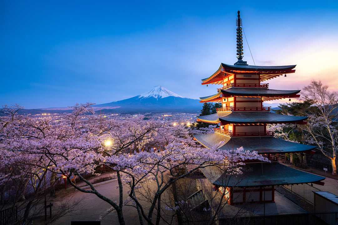 Chureito pagoda and Mt. Fuji in the spring with cherry blossoms during twilight in Japan