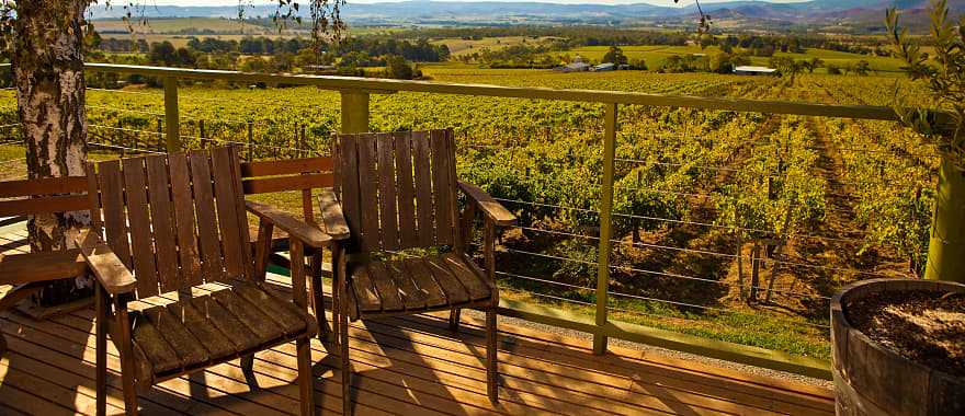 Vineyard view, a private farm in one of New Zealand's wine regions