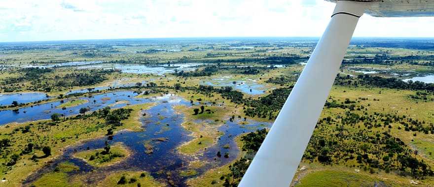 Aerial view of the Okavango Delta from plane