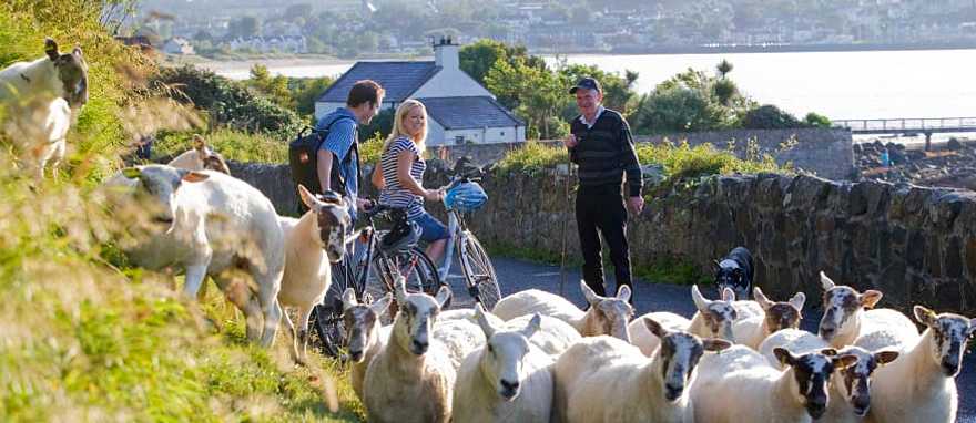 Biking in Ireland. Photo © Brian Morrison / Tourism Ireland Biking in Ireland. Photo © Brian Morrison / Tourism Ireland