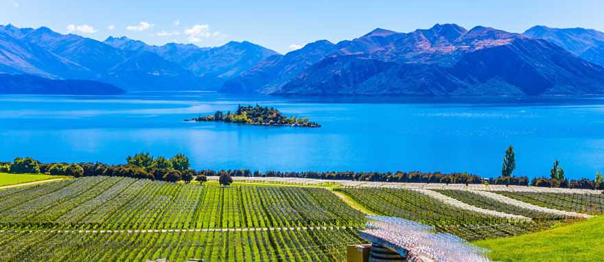 Relax in the southernmost wine-growing region of the world, Lake Wanaka Relax in the southernmost wine-growing region of the world, Lake Wanaka