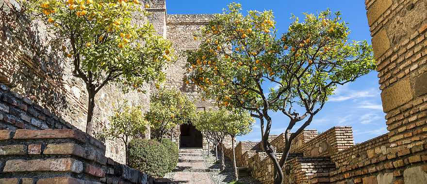 Orange trees at Alcazaba Moorish Castle in Malaga, Spain 