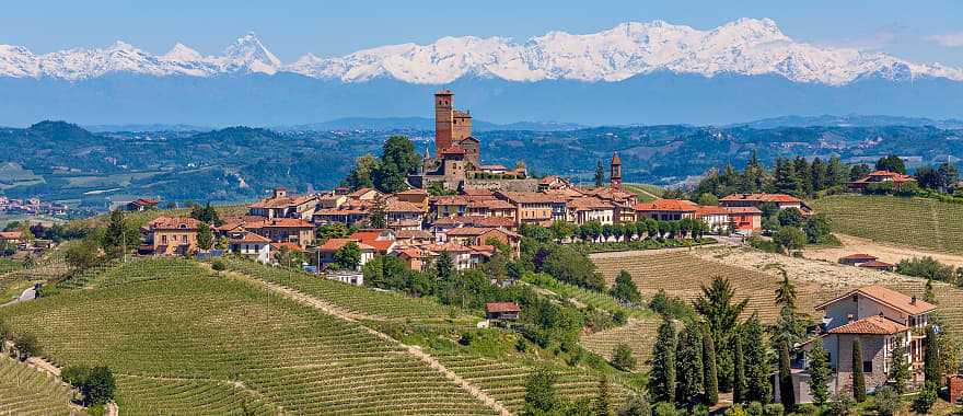 Vineyards in Piedmont with snow capped mountains in the background