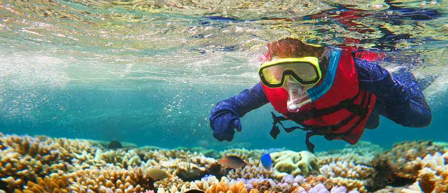 Child snorkeling in the great barrier reef in the tropical north of Queensland, Australia