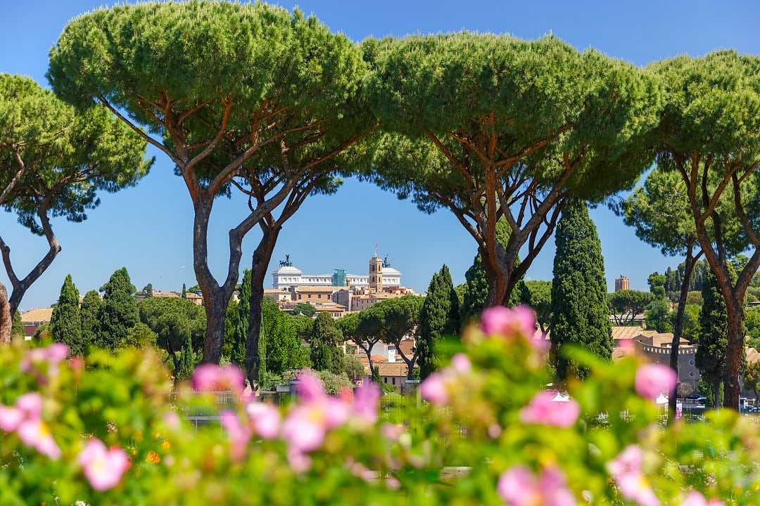 Altare della Oatria  seen through the stone pine trees and rose bushes at The Rose Garden in Rome, Italy