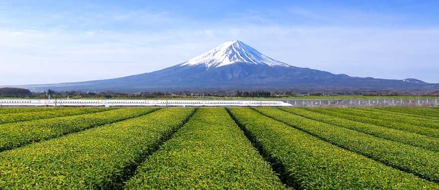 The Shinkansen (Bullet train) with Mt. Fuji in the background The Shinkansen (Bullet train) with Mt. Fuji in the background