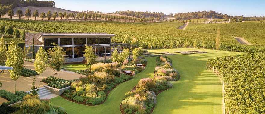 Barossa Valley Estate vineyards in South Australia