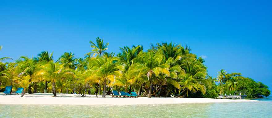 Paradise Beach on South Water Caye, Belize. Paradise Beach on beautiful island South Water Caye, Belize.