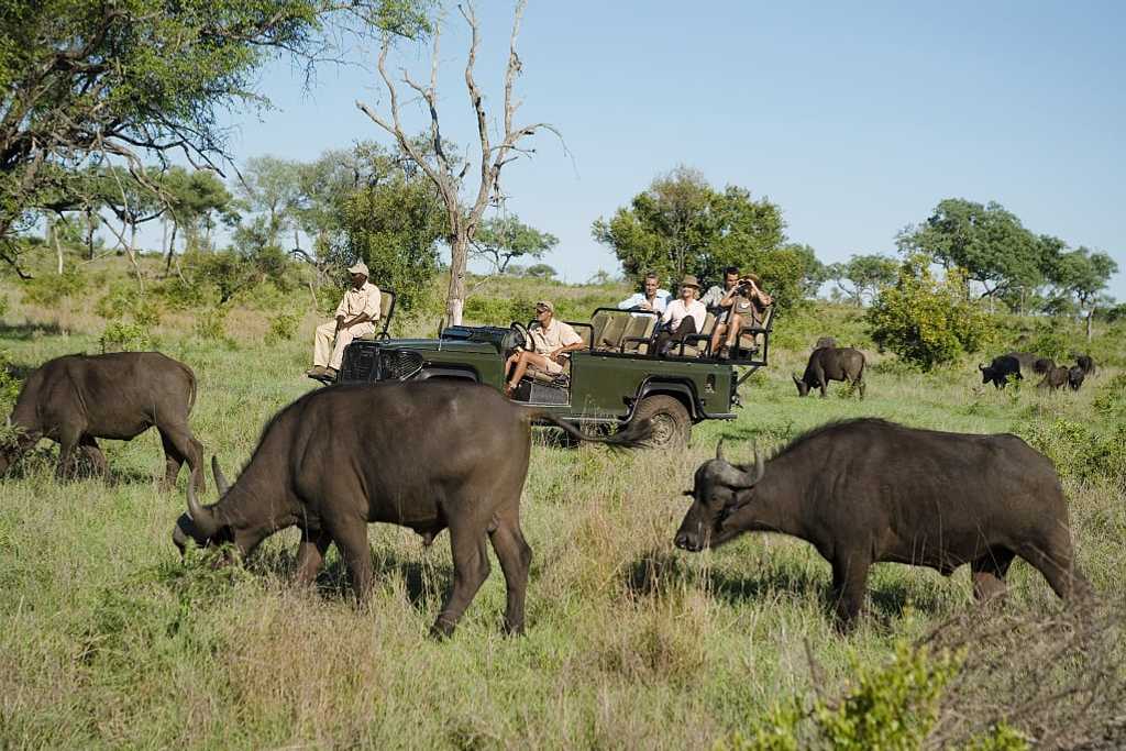 What to Pack for an African Safari: 12 Tips as You Plan for Your