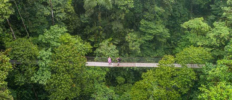 Couple on a suspension bridge among the tropical splendor of Costa Rica