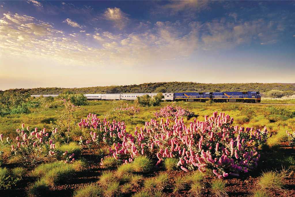 The Indian Pacific in Australia. Photo courtesy Great Southern Rail
