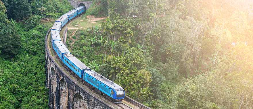 Train goes through jungle in Sri Lanka